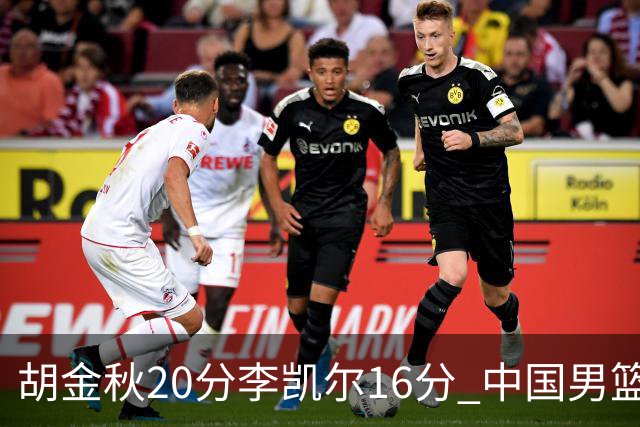胡金秋20分李凯尔16分 中国男篮力克安哥拉